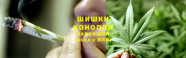 гидропоника Балабаново