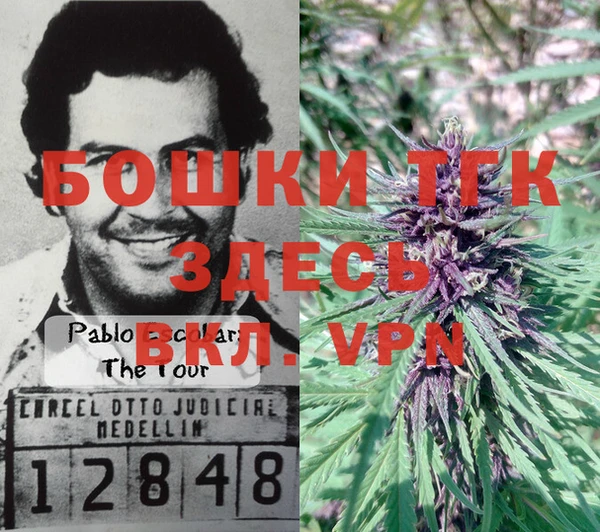 гидропоника Балабаново